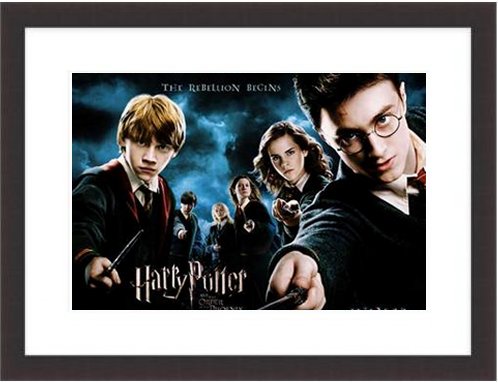 Harry Potter and the Order of the Phoenix poster